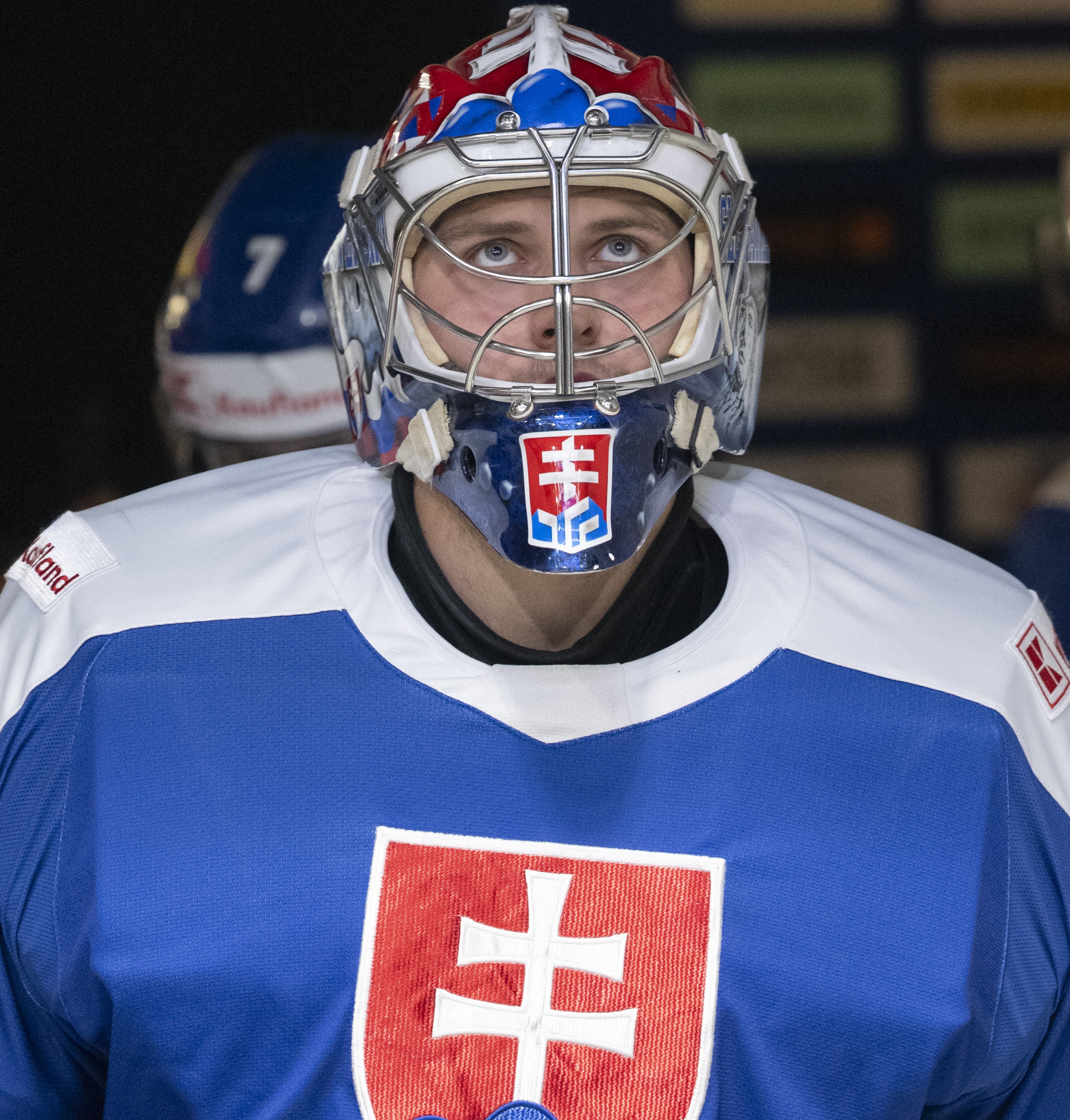 Hokejová reprezentácia